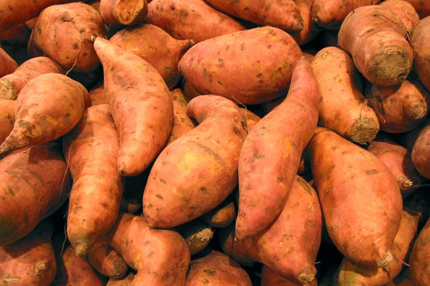 patate-douce-biologique